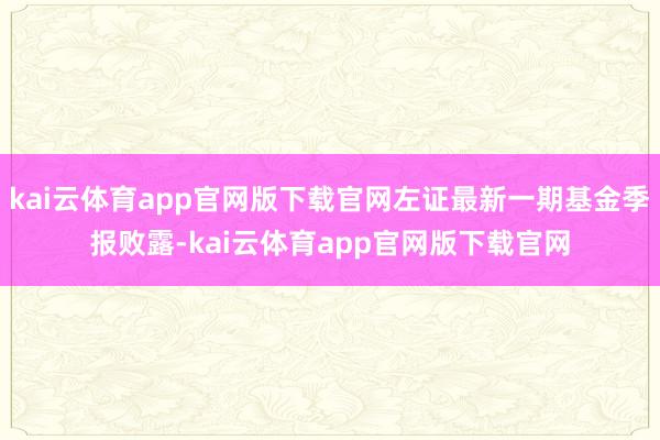 kai云体育app官网版下载官网左证最新一期基金季报败露-kai云体育app官网版下载官网