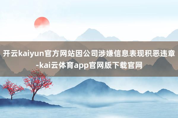 开云kaiyun官方网站因公司涉嫌信息表现积恶违章-kai云体育app官网版下载官网