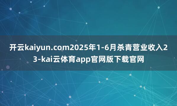 开云kaiyun.com2025年1-6月杀青营业收入23-kai云体育app官网版下载官网