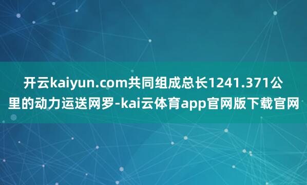 开云kaiyun.com共同组成总长1241.371公里的动力运送网罗-kai云体育app官网版下载官网