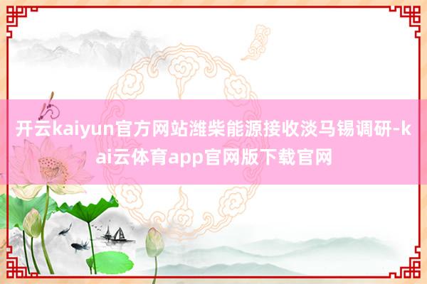 开云kaiyun官方网站潍柴能源接收淡马锡调研-kai云体育app官网版下载官网